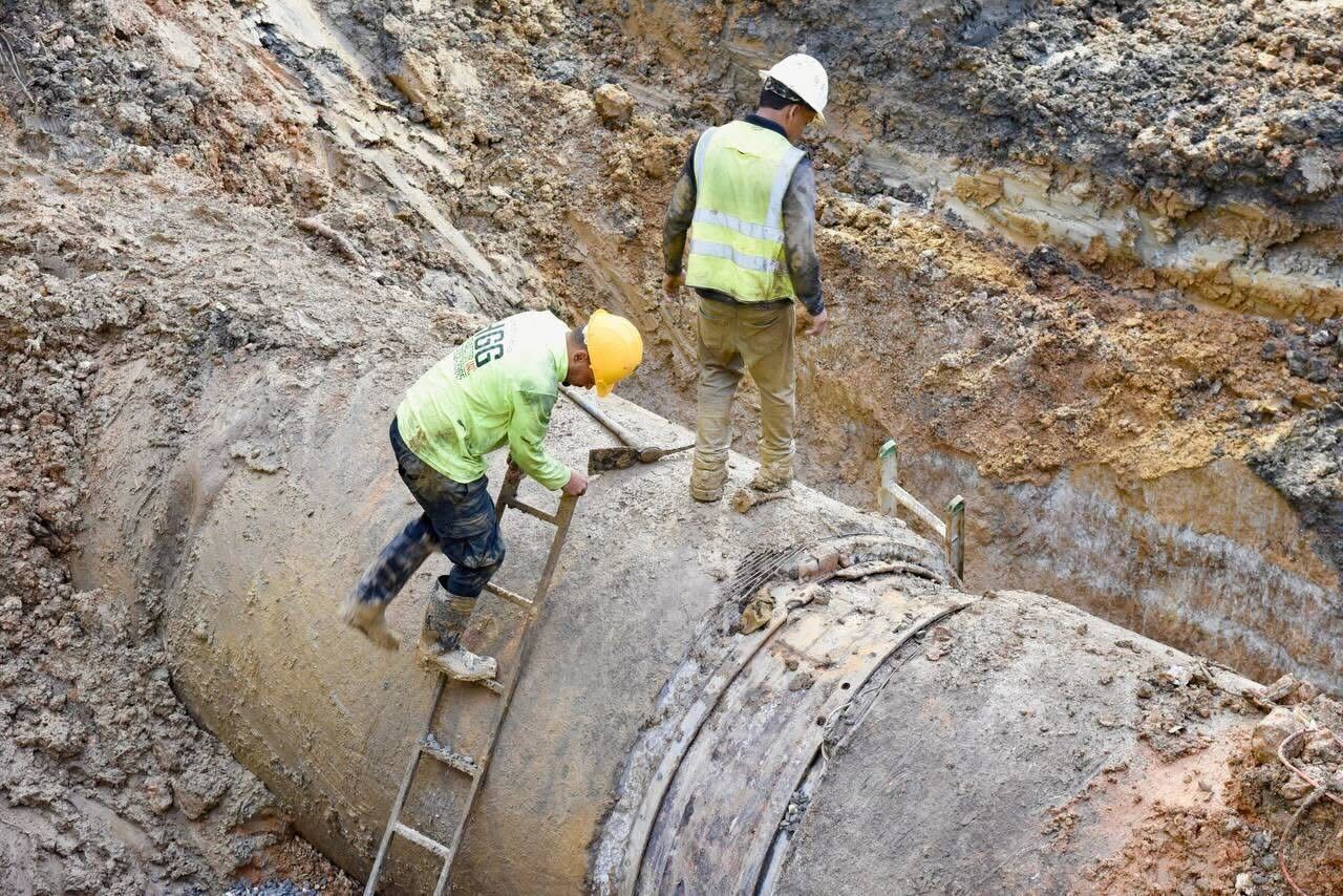 Descripción accesible de la foto 1