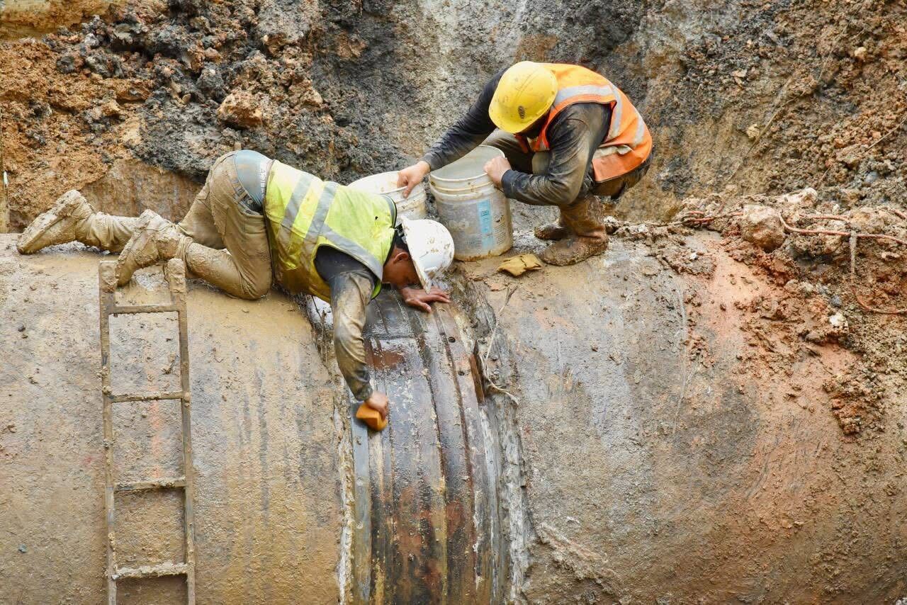 Descripción accesible de la foto 5