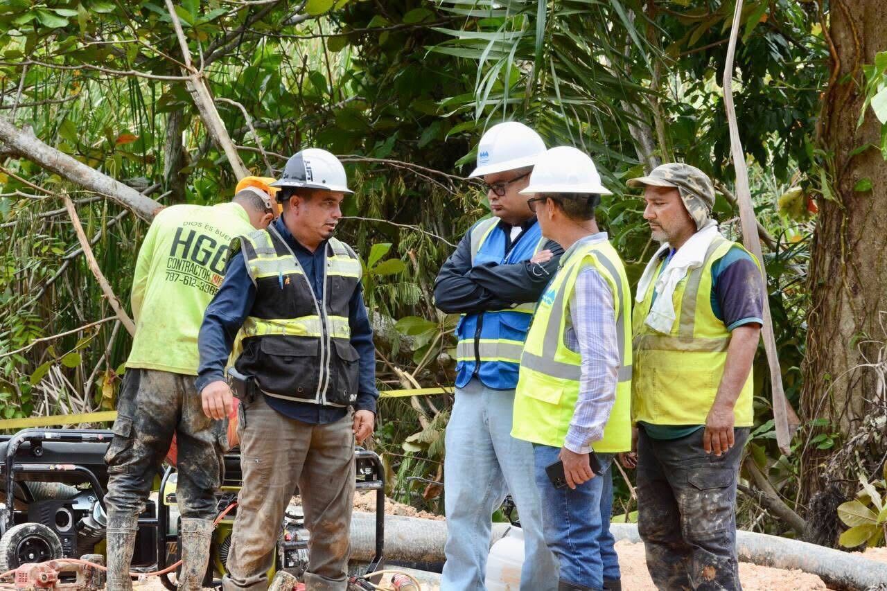 Descripción accesible de la foto 3