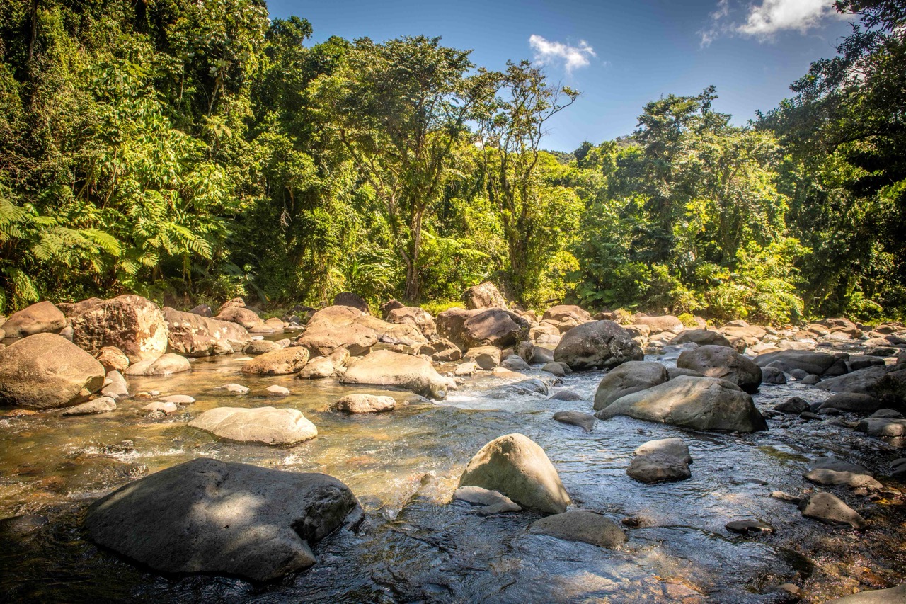 Imagen de un río en Puerto Rico
