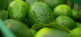 aguacates