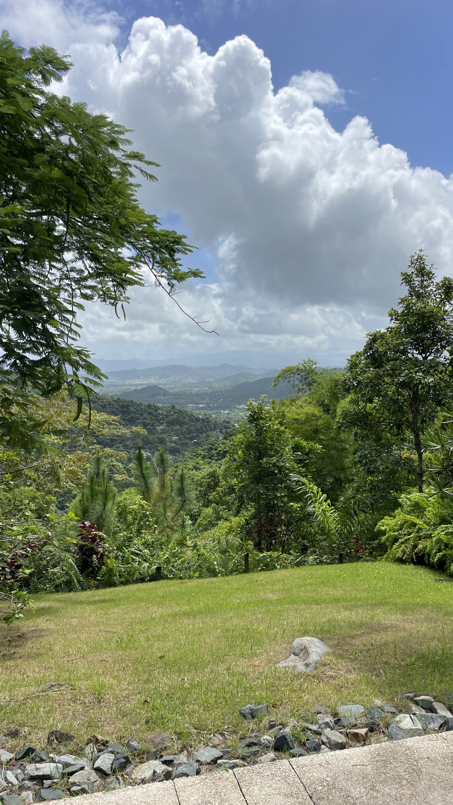 Imagen 3 de On The Road