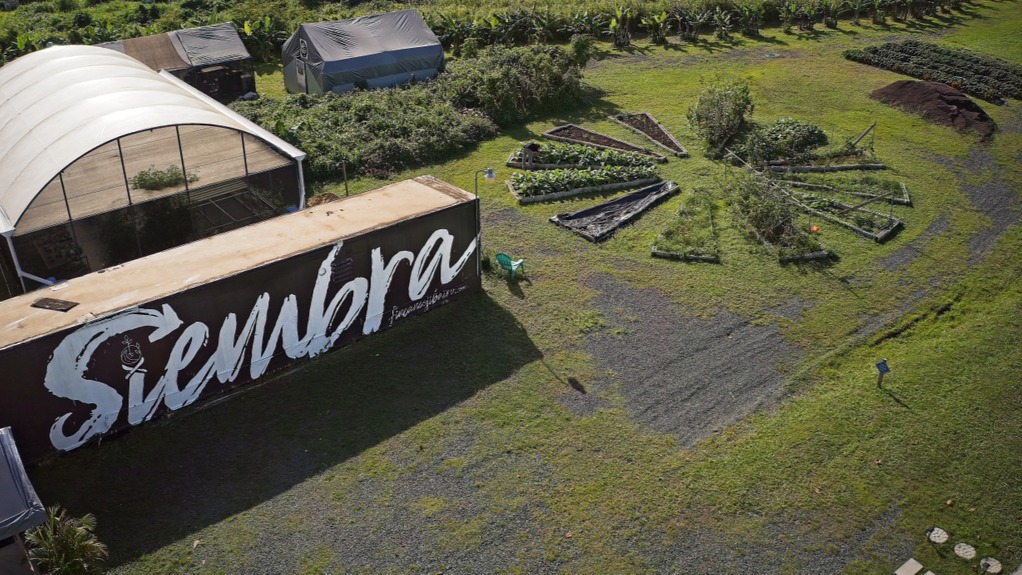 Finca Neo Jibairo en Río Grande