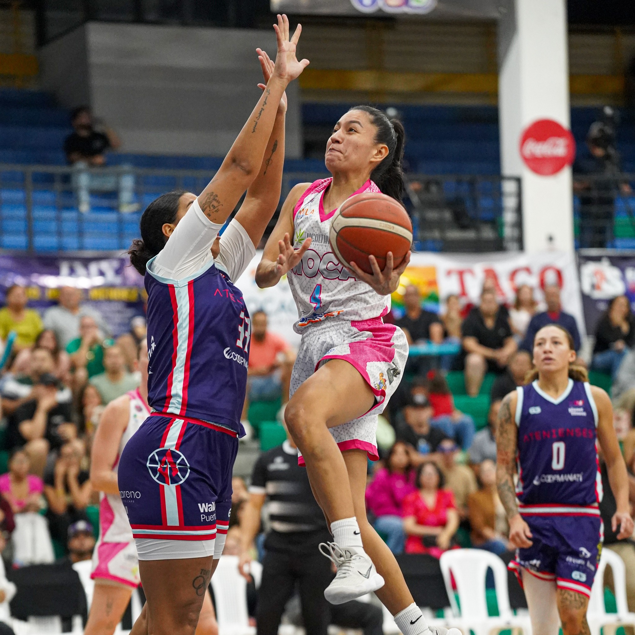 Finca Neo Jibairo en Río Grande