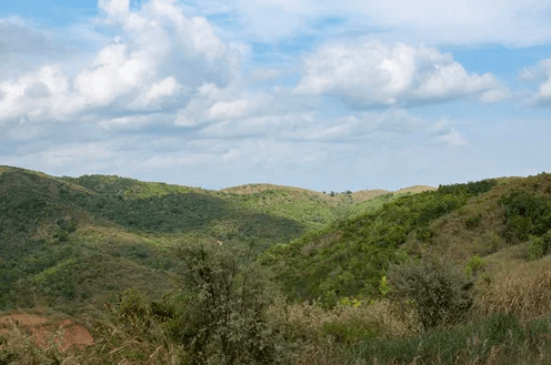 On the Road en Agramonte, Cabo Rojo