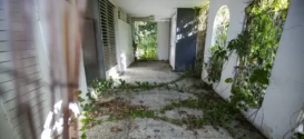 Overgrown branches sit inside an abandoned residential property in the town of Carolina, east of San Juan, Puerto Rico, on Monday, July 10, 2017.