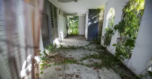 Overgrown branches sit inside an abandoned residential property in the town of Carolina, east of San Juan, Puerto Rico, on Monday, July 10, 2017.