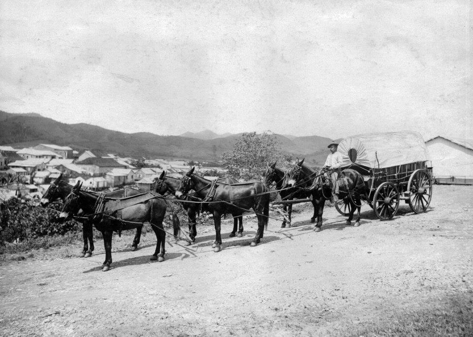 Carretera Central puente