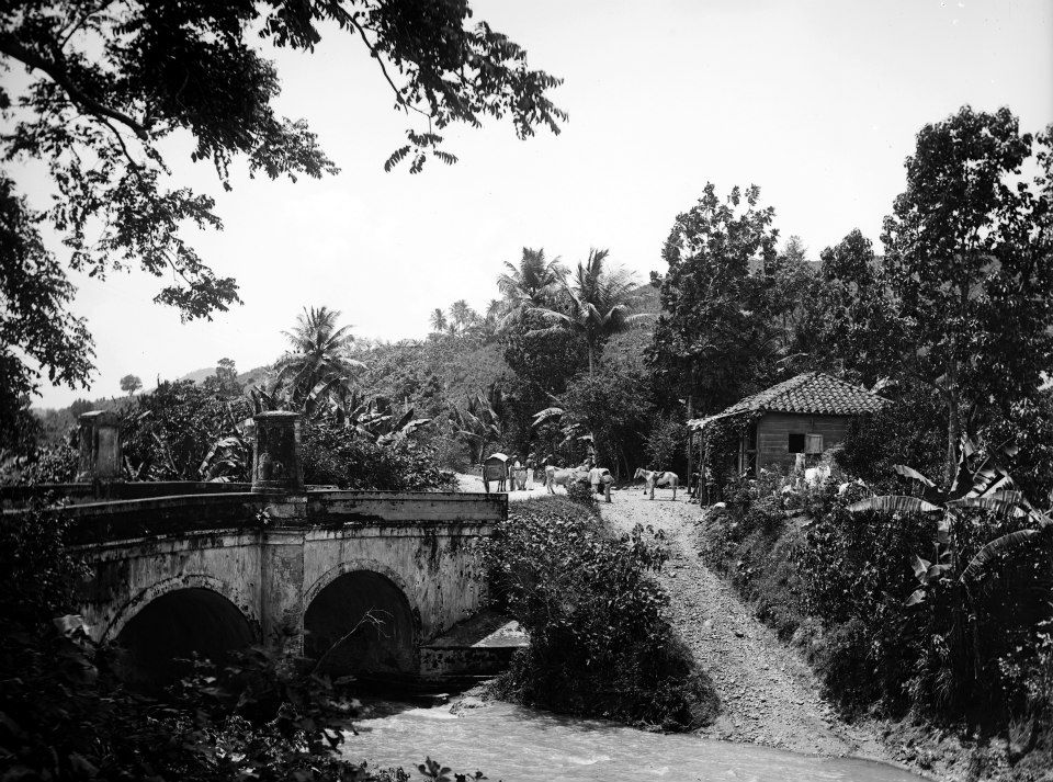 Carretera Central vista