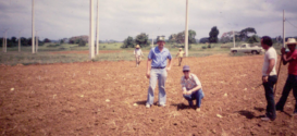 Primera plantación de habichuelas de James Beaver en Puerto Rico. Linda Wessel Beaver está junto a él. (Suministrada por Linda Wessel Beaver)