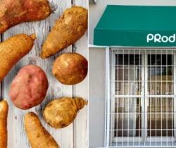 Hero Image PRoduce