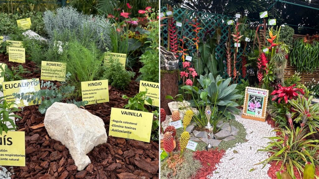 gu-a-del-festival-de-las-flores-2026-qu-ver-c-mo-llegar-y-qu-hacer